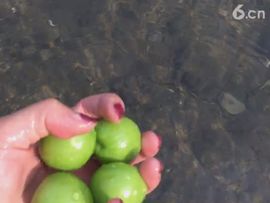 🚩风景🚩主播照片