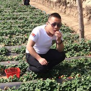 小贺136444
