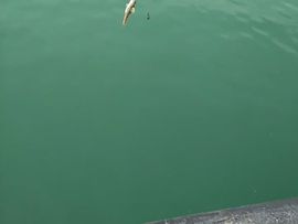 🚩风景🚩主播照片