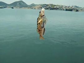 🚩风景🚩主播照片