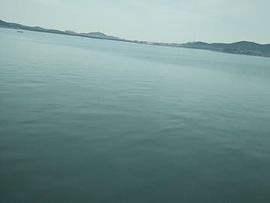 🚩风景🚩主播照片