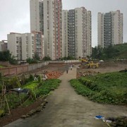 微信_3748778