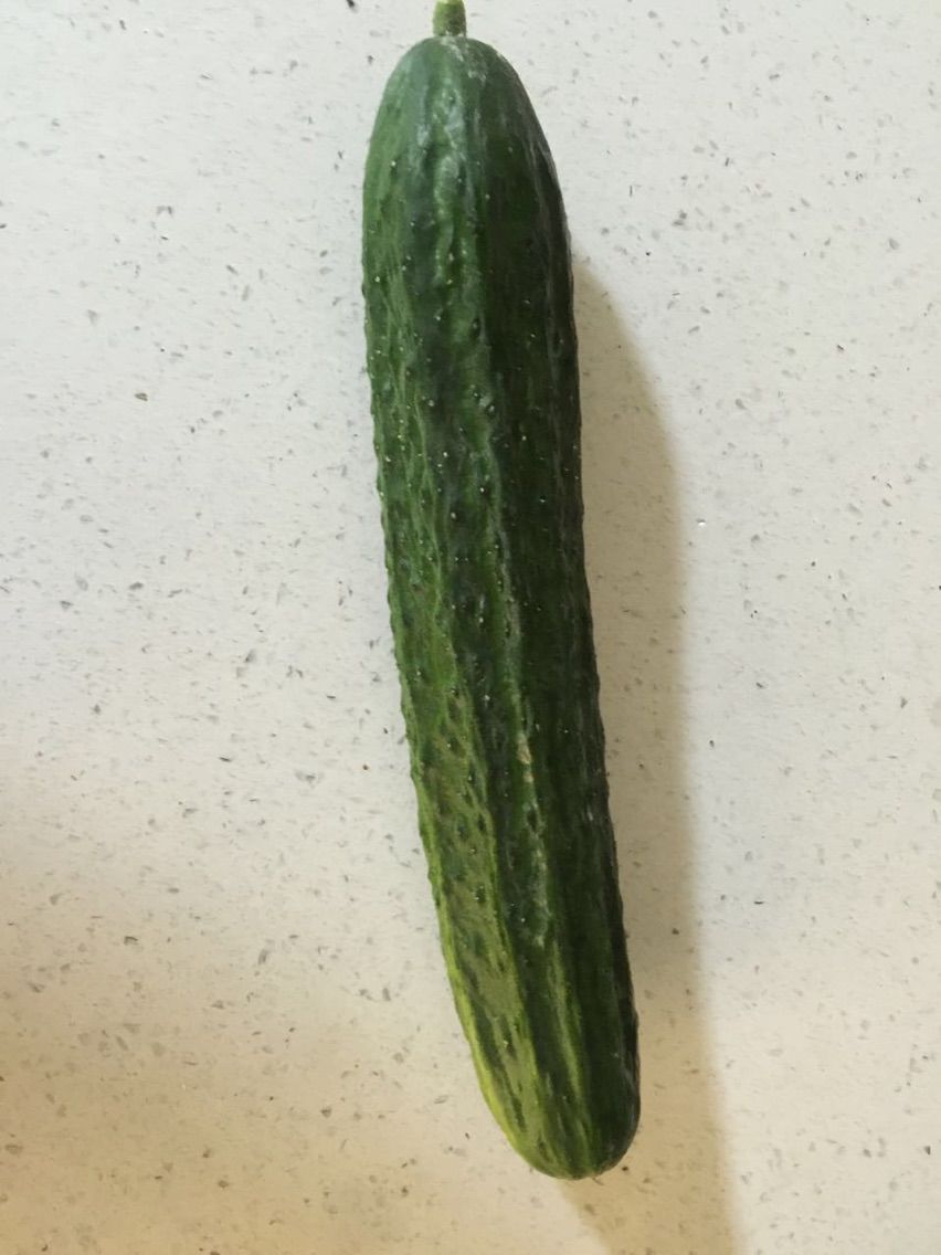 林悠悠er的主播照片