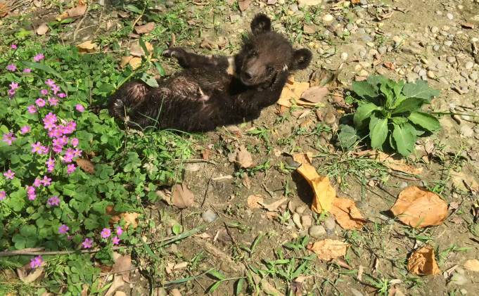 習慣有妮的图片