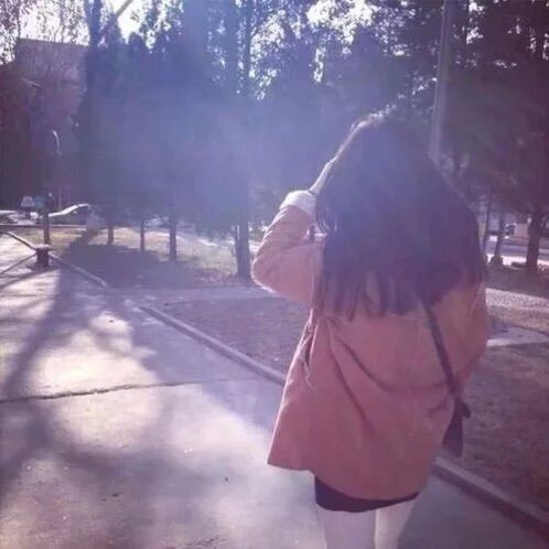 风中的风铃的图片