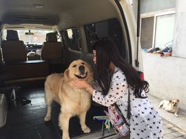 嘚瑟💗主播照片