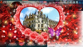 惯宝🍀晚8-11主播照片