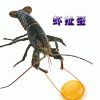 独步天空海报
