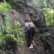 悠悠柠檬海报