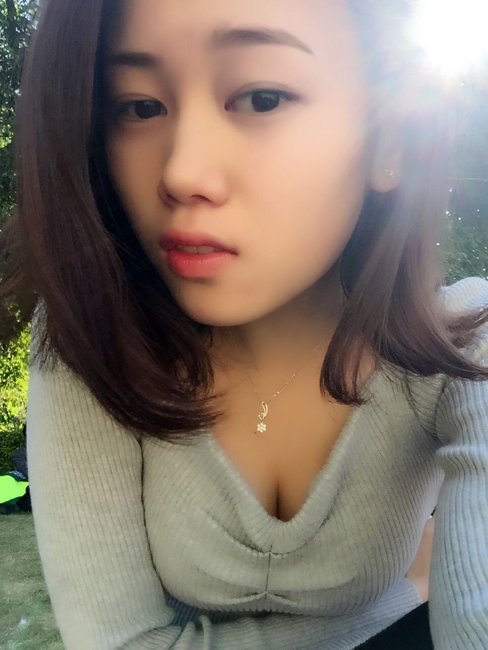 亲切家族的图片