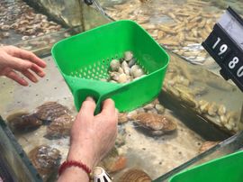 ...09主播照片