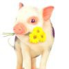 癡情菂尐豬豬l的头像