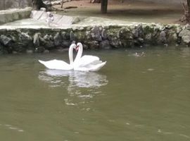 行走中国👍鹏主播照片