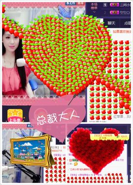 呆呆就此离开主播照片