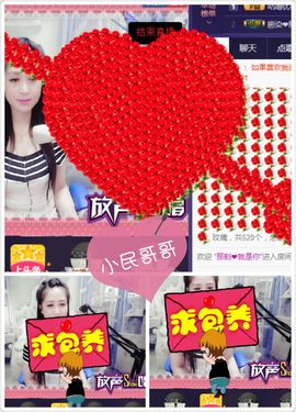 呆呆就此离开主播照片