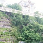 根本不会