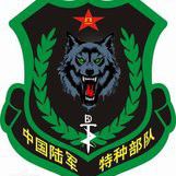 野狼☭情谊㊕左龍