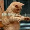 🔥潇洒🔥朕海报