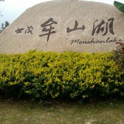 微信_楼哥