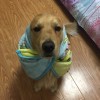 你以为我的心是不锈钢海报