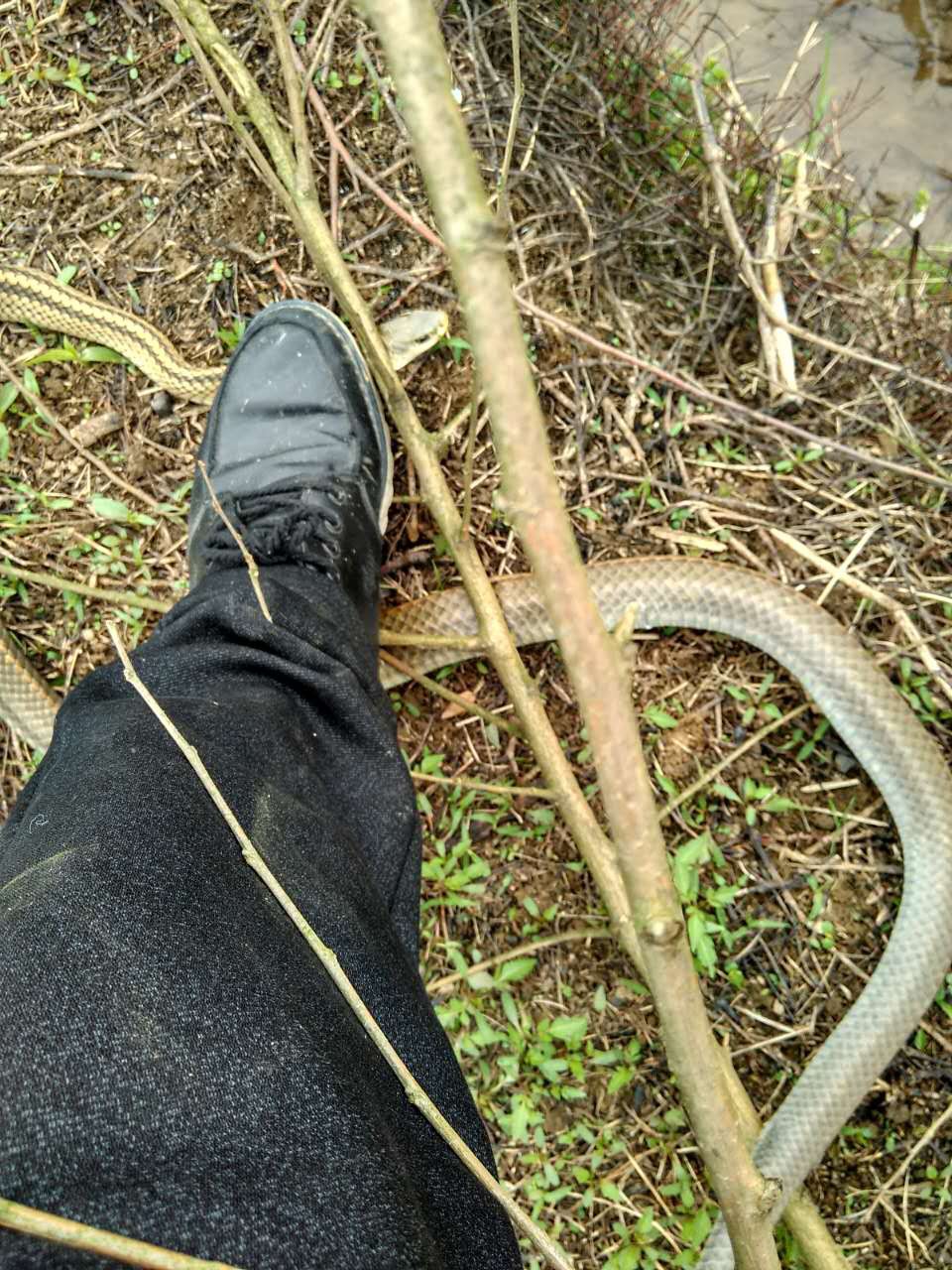 户外神通的主播照片