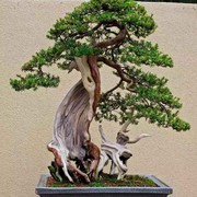 微信_5530