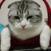 微信_5596750
