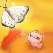 微信_56lj