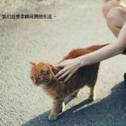 博家军团小小✔。