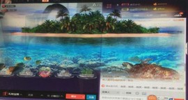 姐的傲娇你不懂~主播照片