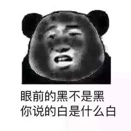 橙子江湖再见啦！主播照片