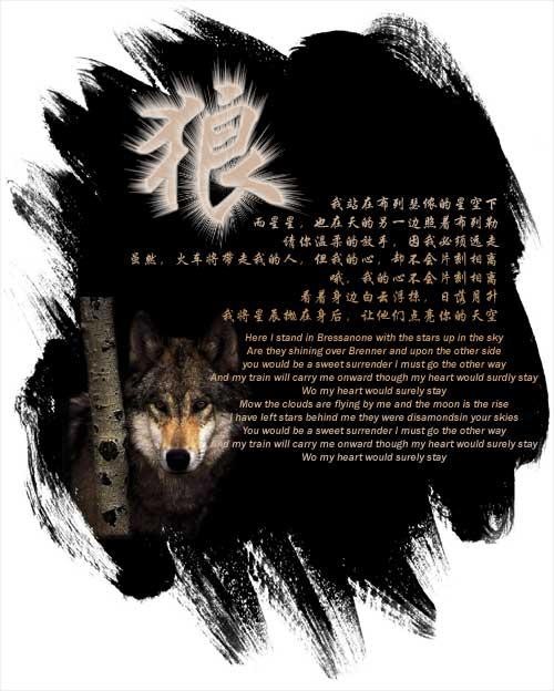 信仰💕为你守候的主播照片