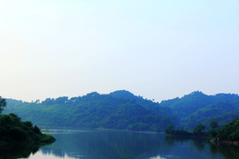 郑家平主播照片