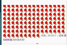 宝贝麦西西……主播照片