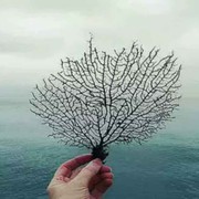 微信_6052323