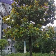 微信_6120936