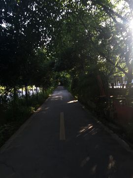 ～追寻主播照片