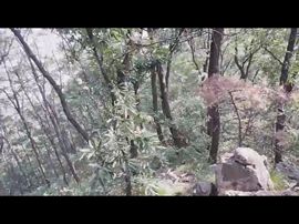 🚩风景🚩主播照片