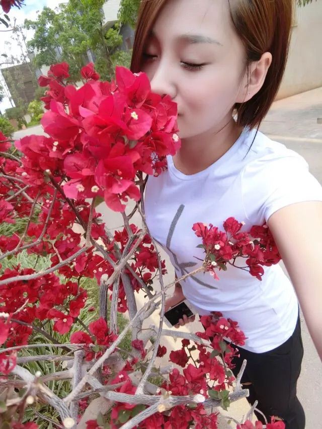 风中的风铃的图片