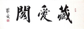 世界公民2020主播照片
