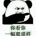 奥特曼打怪兽宝宝