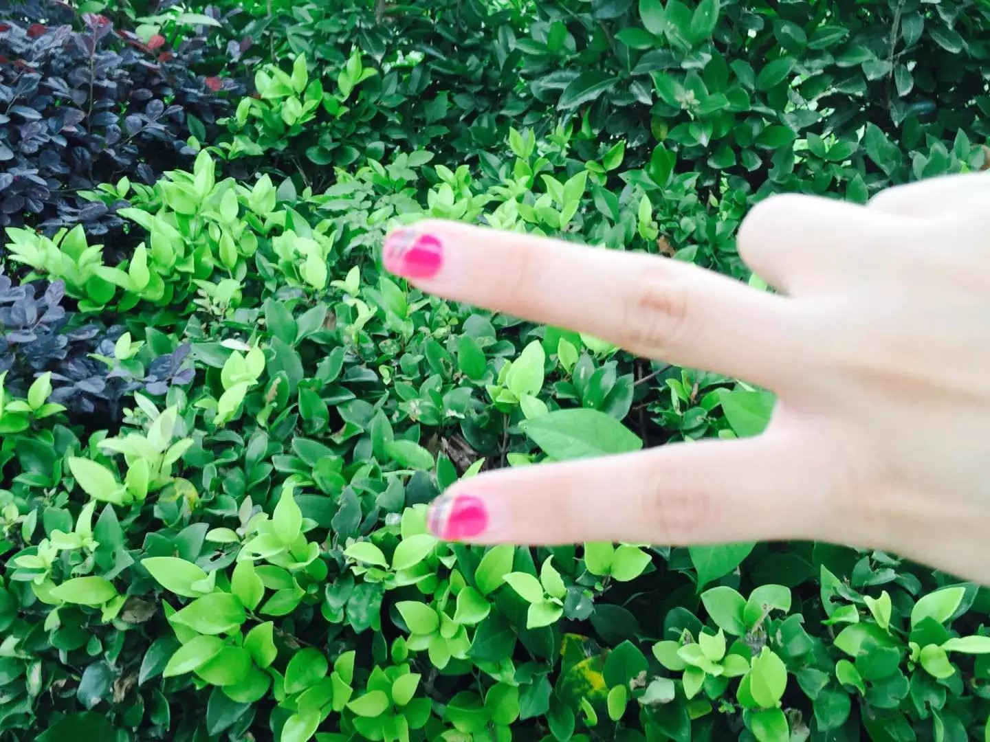 天??意的主播照片