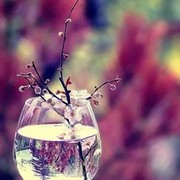 雨中漫步001