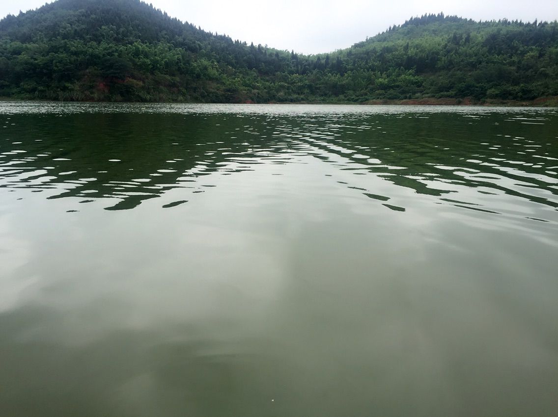 爷.的专属的主播照片