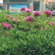 微信_72pg