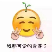 甚么是名字。