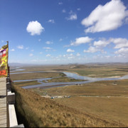 奔跑吧一路同行海报
