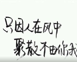 ❤猫咪❤落幕🍂❤主播照片