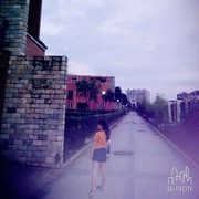 洋洋洋狗海报