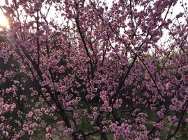 @拉芳主播照片